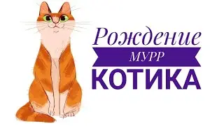 Рождение Мурркотика😺