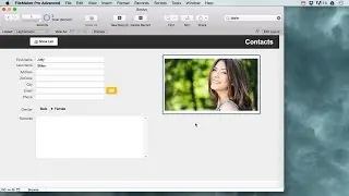 Filemaker Pro Basics for beginners