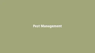 Pest Management