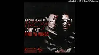[FREE] NoCap Loop Kit - Find Ya Wings (NoCap, Toosii, Rod Wave, NBA YoungBoy)