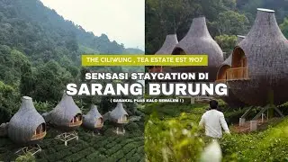 The Ciliwung Puncak | Sensasi Staycation di Sarang Burung ‼️