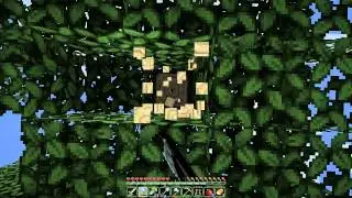 Let's Play Together: Minecraft 