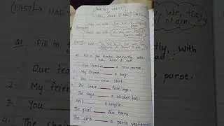 Practice sheet of has, have and had