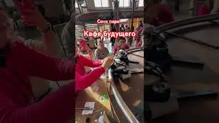 КАФЕ БУДУЩЕГО В СОЧИ ПАРКЕ 