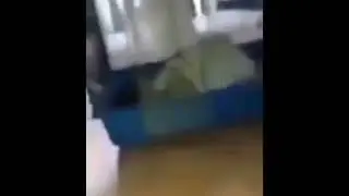 Мышь укусила поляка (о ты курво ебано, уджарво мне курва ебано!)