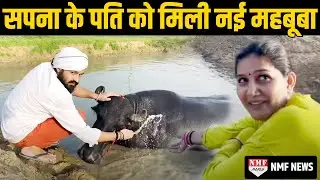 Sapna Choudhary के पति Veer Sahu को मिली नई महबूबा, डांसर को लगा बड़ा झटका