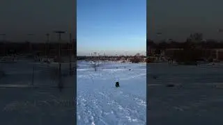My dog and I believe we can fly!