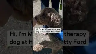 75 Mile Walk Run Challenge for Patient Aid_3 - Hazelden Betty Ford #shorts