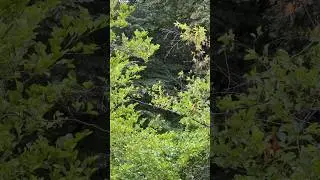 ‪@Pulse-Drum‬