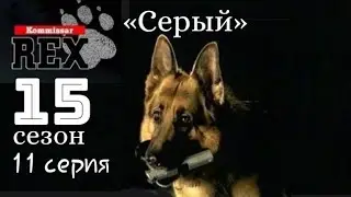 Комиссар Рекс, 15 сезон,11 серия «Серый»