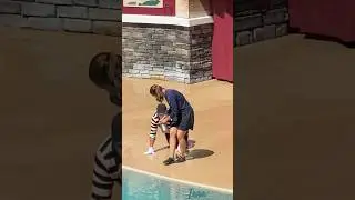 Tom IS the Sea Lion Show! 🤣🤣🤣🤣 Best One Ever! | Tom the World Famous Seaworld Mime