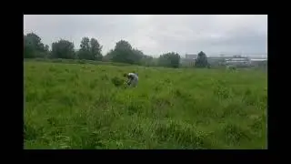 My Dog chases me