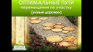 Планирование участка. Умные дорожки