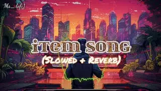 Item Song (Slowed + Reverb) 🥀🥂