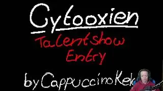 CappuccinoKeks | Animationen vom Nintendo DS (Flibnote) | Vorrunde | Talentshow 2023 | Cytooxien.de