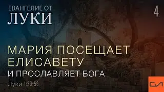 Луки 
