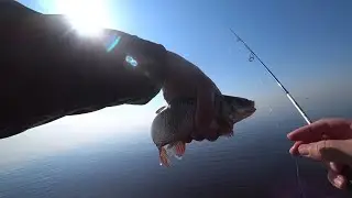 Мормышинг на Финском заливе.