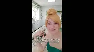 Что делать в Доме бабочек