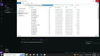 How To Convert PDF File To Images Using Python