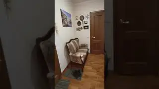 Двухкомнатная квартира. Трофимова, 10