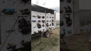 + 38 пасмурно духота
