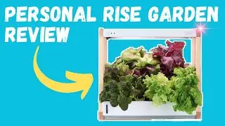 Reviewing my Personal Rise Garden after having it for 3 years | The Indoor Gardener