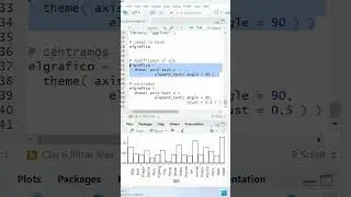 R: girar el eje X en R