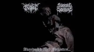 Suicidal Solitude / The Lonely - Abandoned And Forgotten (split) (DSBM)
