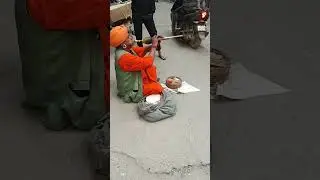 Nagin Or सपेरा snake 🪱 🐍 #snake #viral #trending #viralvideo