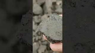 Пятак!!!🔥 #металлоискатель #коп #монеты #кладоискатели