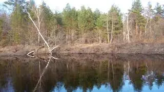 Р. Гусь