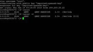 How to View Linux SCSI Devices Information - Linux Tricks