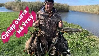 ОХОТА на УТКУ в Октябре.🦆🦆🦆Супер налёты! #охотанаутку#охотанауткусчучелами