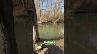 Уфа, рыбалка, апрель 2023