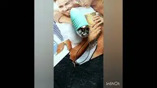 Виброяйцо с пультом управления / Стимулятор клитора и точки G /aliexspress 18+