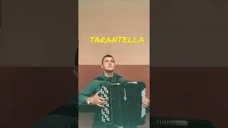 • TARANTELLA •