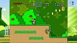 Super Mario world