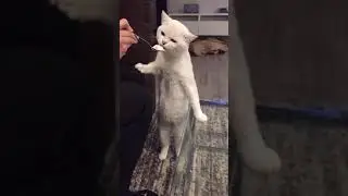 Coffee boy enjoying his treats