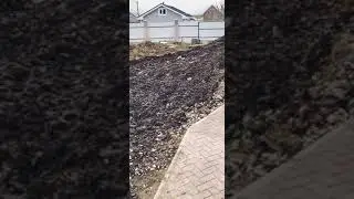 Рулонный газон