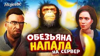 ОБЕЗЬЯНА НАПАЛА на СЕРВЕР в GTA 5 Majestic RP