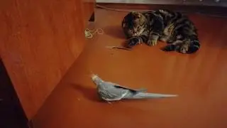 Охотник от бога)))