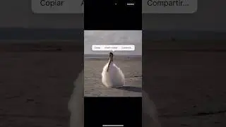 Убрать фон с айфоном за секунду 