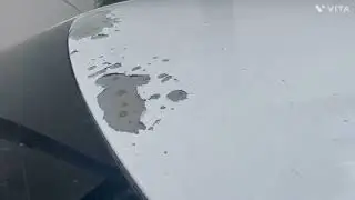 Toyota White Paint issues