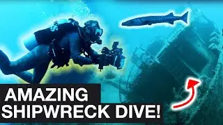 Shipwreck! Diving MISSION in the Bahamas | Bear Uncut