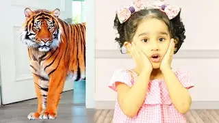 Nyra really want to have a pets | stories for kids