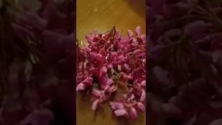 церцис на связи
