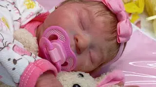 TROQUINHA COM A BEBÊ REBORN ANA LAURA/#kitlaura