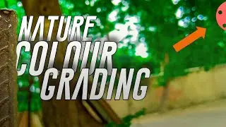 How To Nature colour Grading With Kinemaster 🔥👌 ! Kinemaster tutorial || AddyEditz