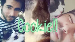 Cookie’s appearances on Lixian’s streams :3
