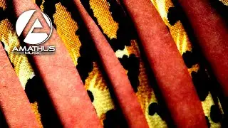 Tio Pepe - Spanglish (Josh Harris Remix)